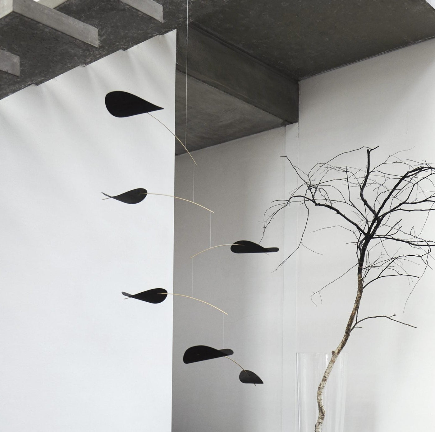 DriftingClouds_black_-interior